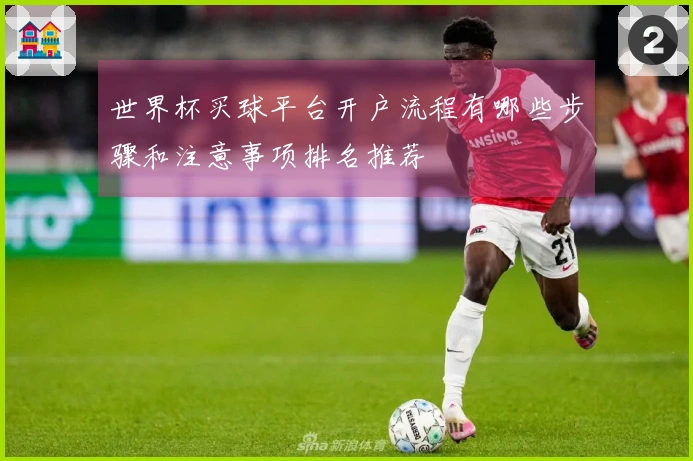 世界杯买球平台开户流程有哪些步骤和注意事项排名推荐