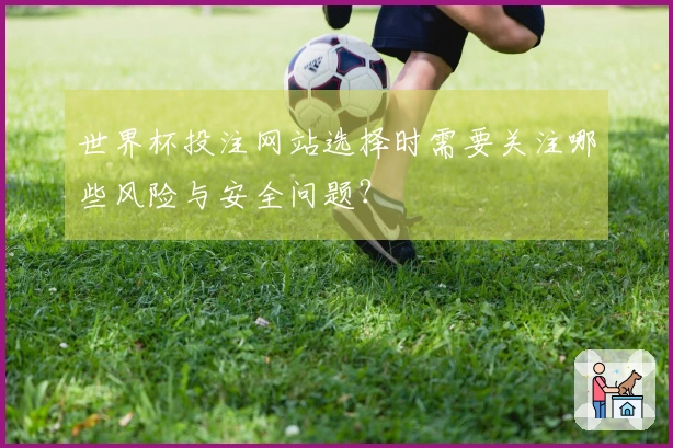 世界杯投注网站选择时需要关注哪些风险与安全问题？