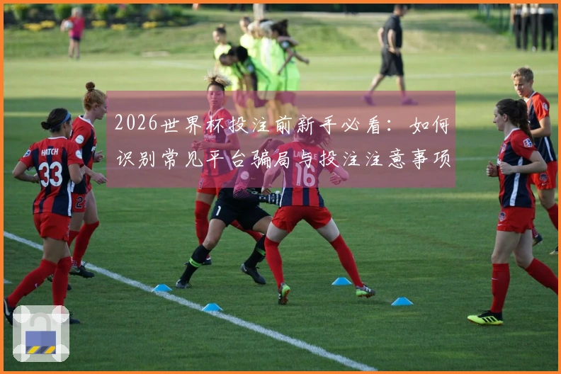 2026世界杯投注前新手必看：如何识别常见平台骗局与投注注意事项