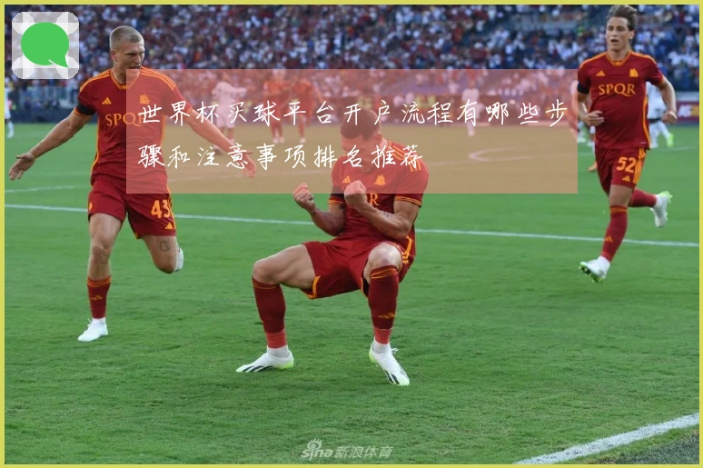 世界杯买球平台开户流程有哪些步骤和注意事项排名推荐